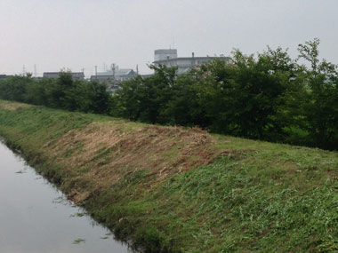 作業後の風景