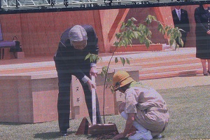 天皇手植え