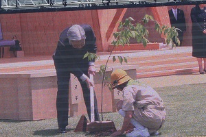 天皇手植え