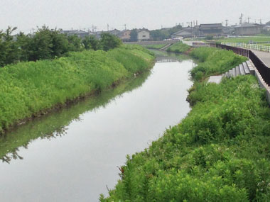 作業前の風景