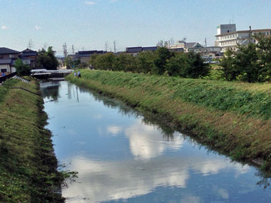 作業後の風景