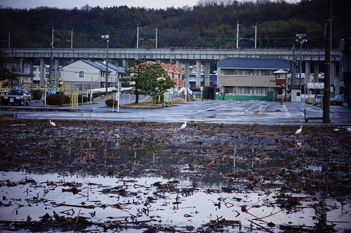 師走の風景