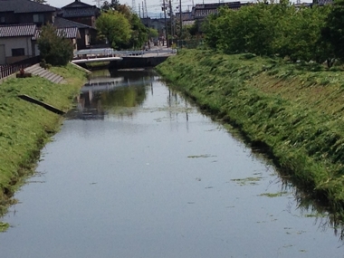 作業後の風景