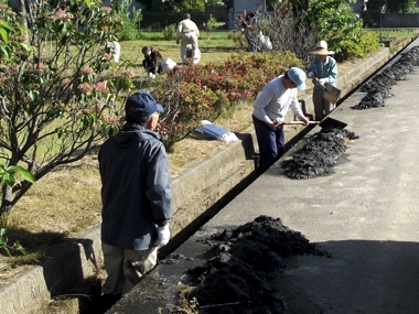 わんぱく公園清掃６