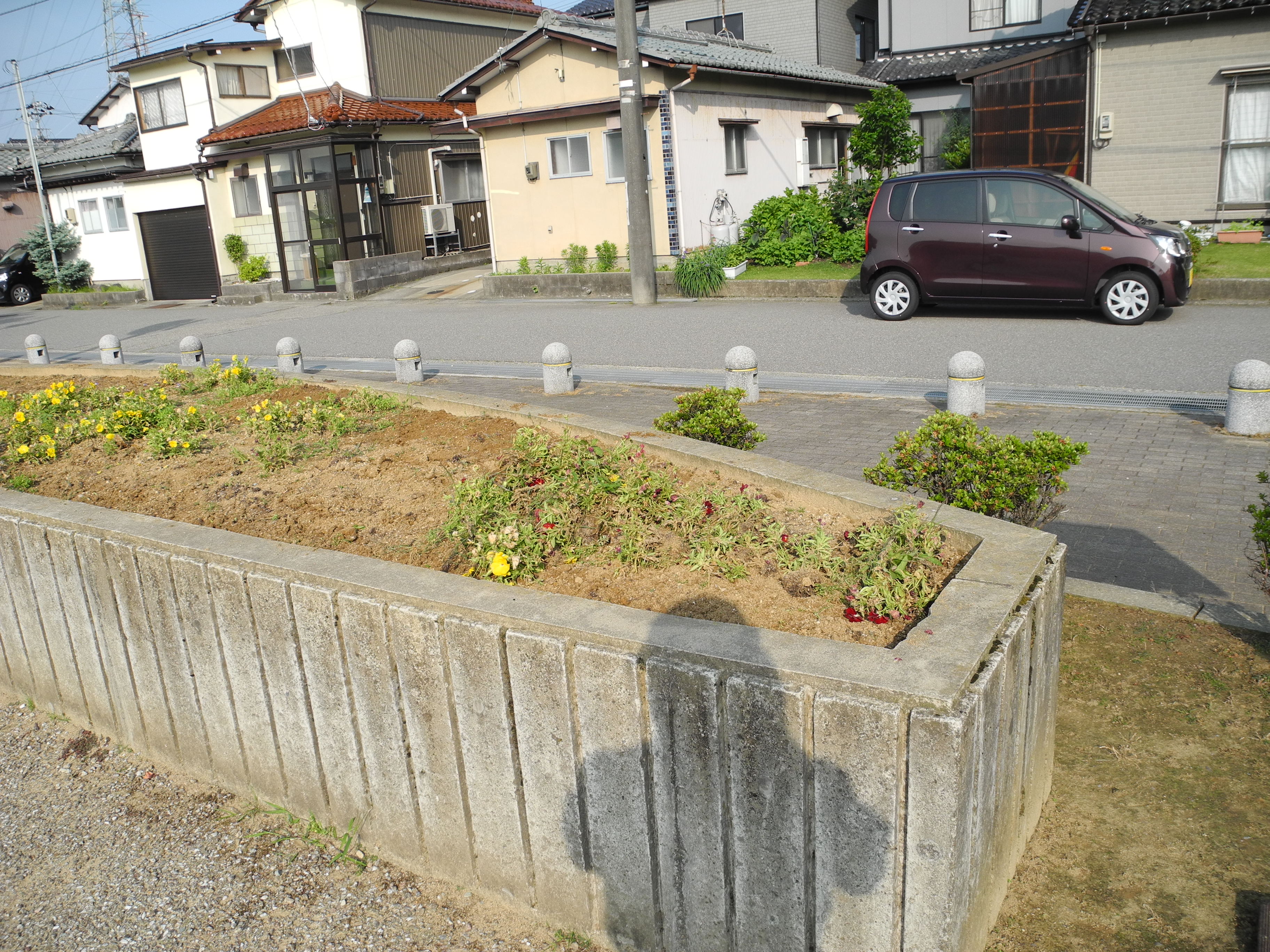 花壇植え替え1