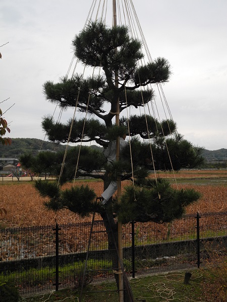 冬支度1