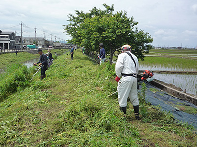 牛殺川河川敷の清掃